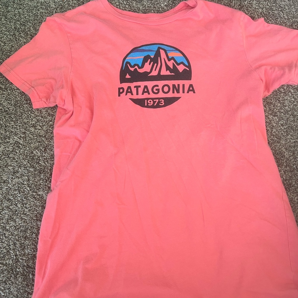 Patagonia Tee